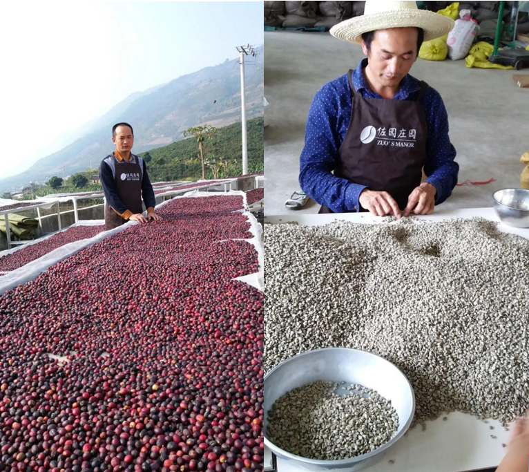 2020云南咖啡生豆大賽兩岸共33個站點即將火熱開賽！